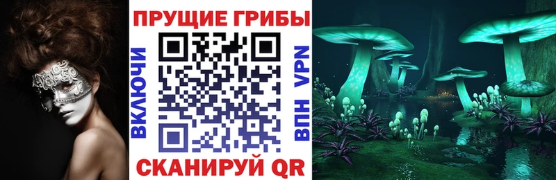 kraken ТОР  Сольвычегодск  Галлюциногенные грибы мухоморы 